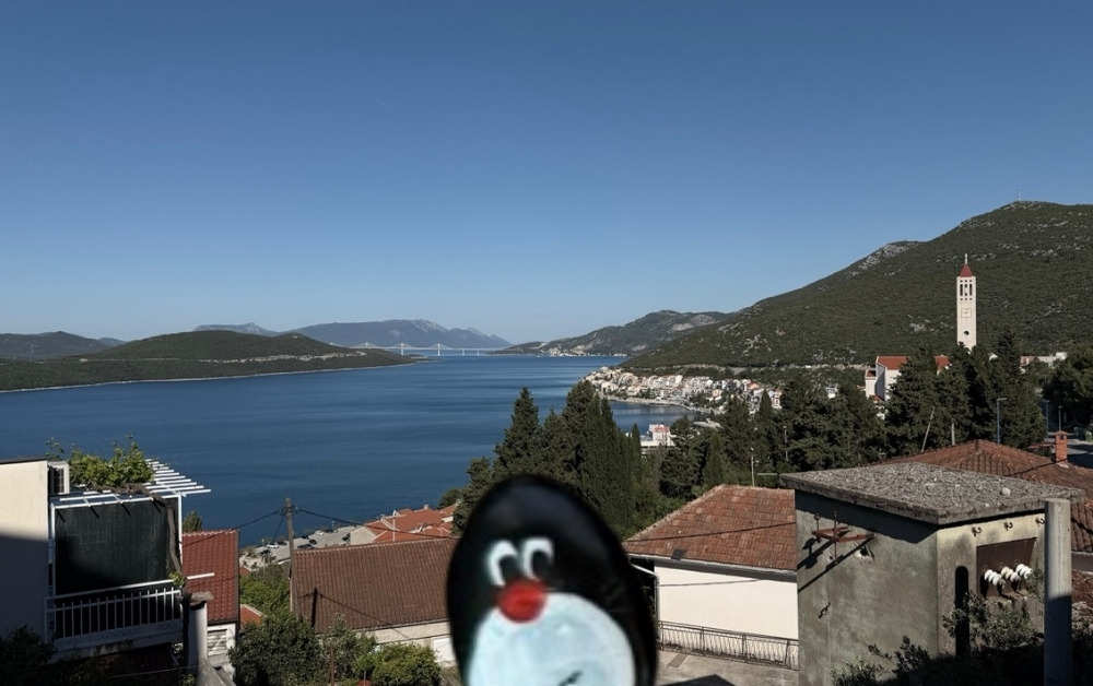 Hand-painted penguin stone #971 hidden at Hotel Jadran, Neum, Bosnia and Herzegovina (photo 1 of 5)