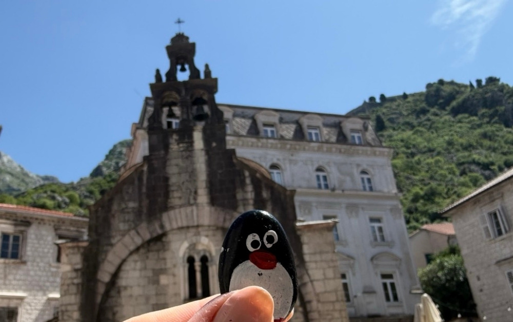 Hand-painted penguin stone #973 hidden at Saint Luke's Church, Kotor, Montenegro (photo 1 of 5)