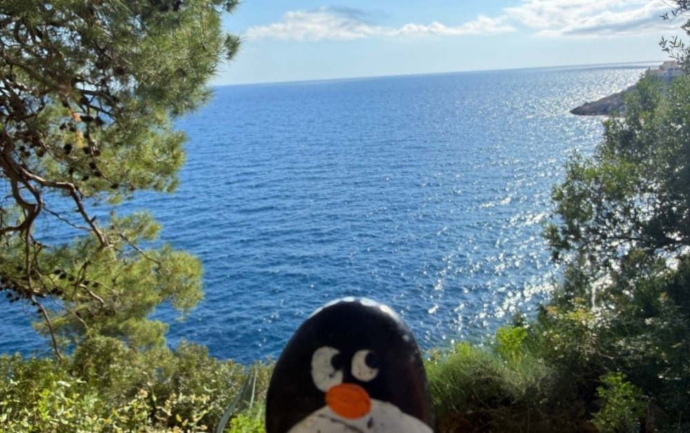 Hand-painted penguin stone #979 hidden at Stone Wall close to the stairs, Dubrovnik, Croatia (photo 1 of 5)