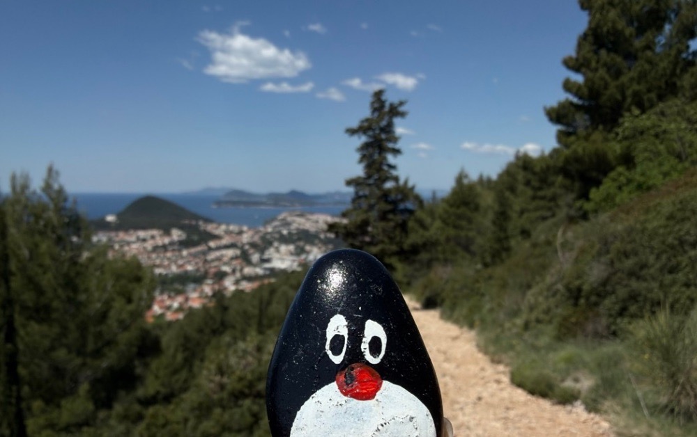 Hand-painted penguin stone #985 hidden at Dubrovnik Stations of the Cross III, Dubrovnik, Croatia (photo 1 of 5)