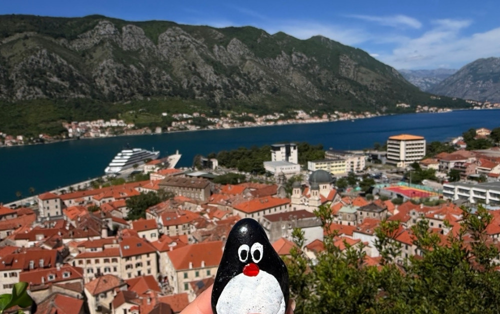 Hand-painted penguin stone #987 hidden at Small Chapel, Kotor, Montenegro (photo 1 of 5)