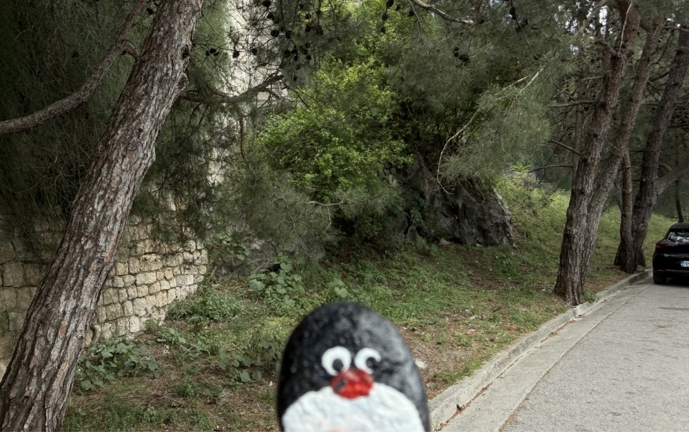 Hand-painted penguin stone #988 hidden at Perast Sign, Perast, Montenegro (photo 1 of 5)