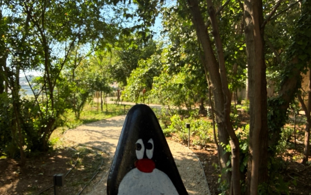 Hand-painted penguin stone #990 hidden at Old Stairs, Dubrovnik, Croatia (photo 1 of 5)