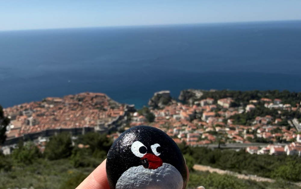 Hand-painted penguin stone #992 hidden at Dubrovnik Stations of the Cross X, Dubrovnik, Croatia (photo 1 of 5)