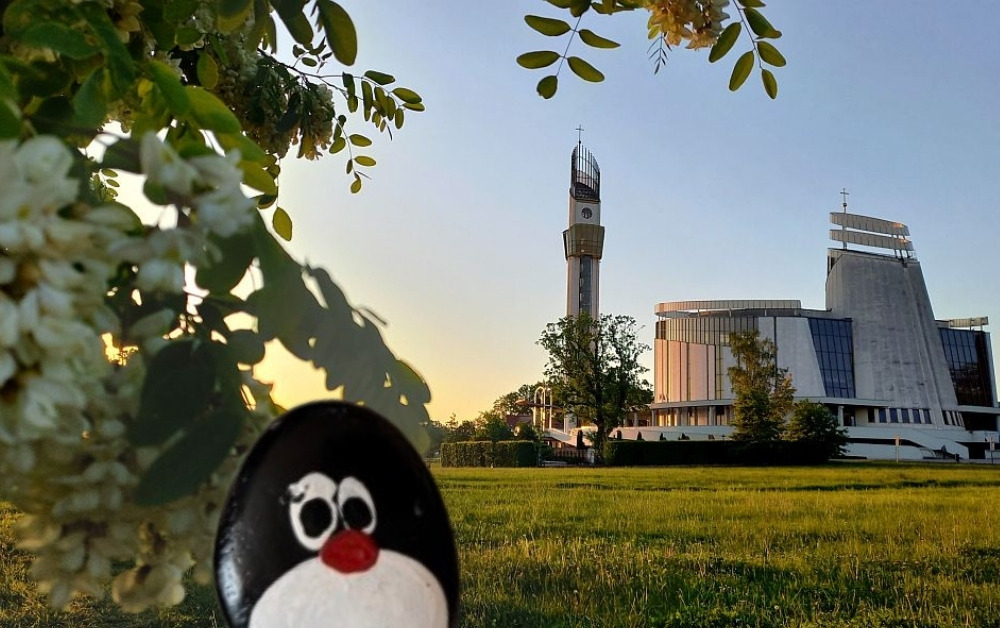 Hand-painted penguin stone #994 hidden at Bazylika Bozego Milosierdzia, Krakow, Poland (photo 1 of 4)