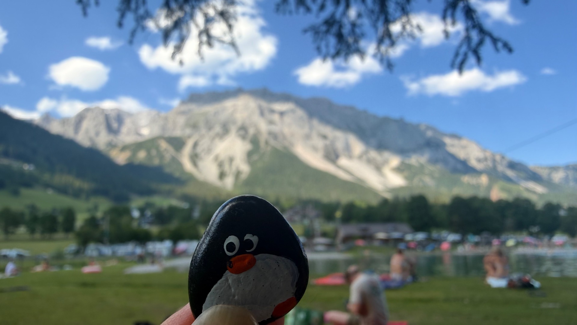 Hand-painted penguin stone #1083 hidden at Tree at Ramsau Beach, Ramsau am Dachstein, Austria (photo 1 of 5)