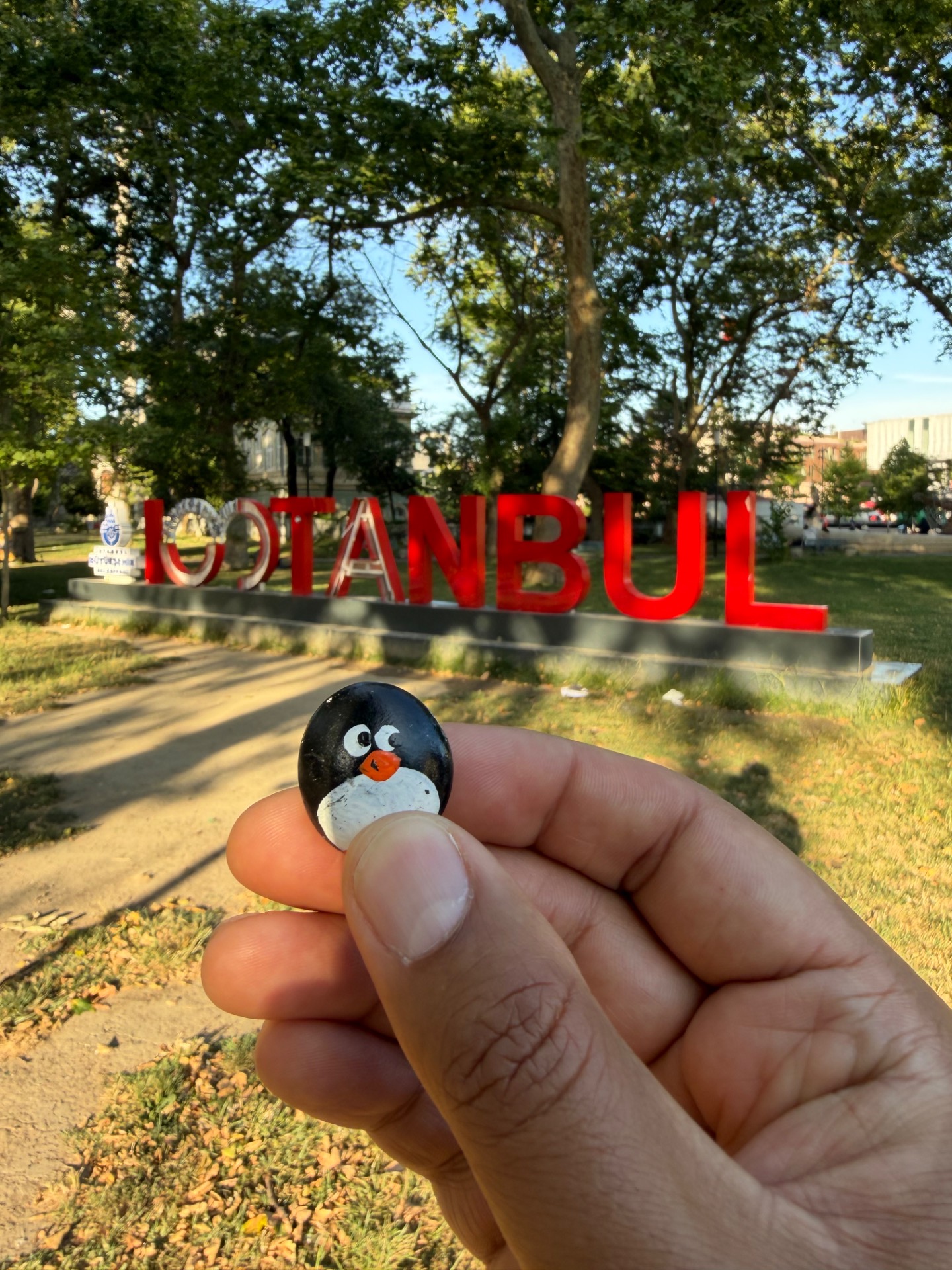 Hand-painted penguin stone #1100 hidden at Mahmut Han Park, Beyoglu, Turkiye (photo 1 of 5)