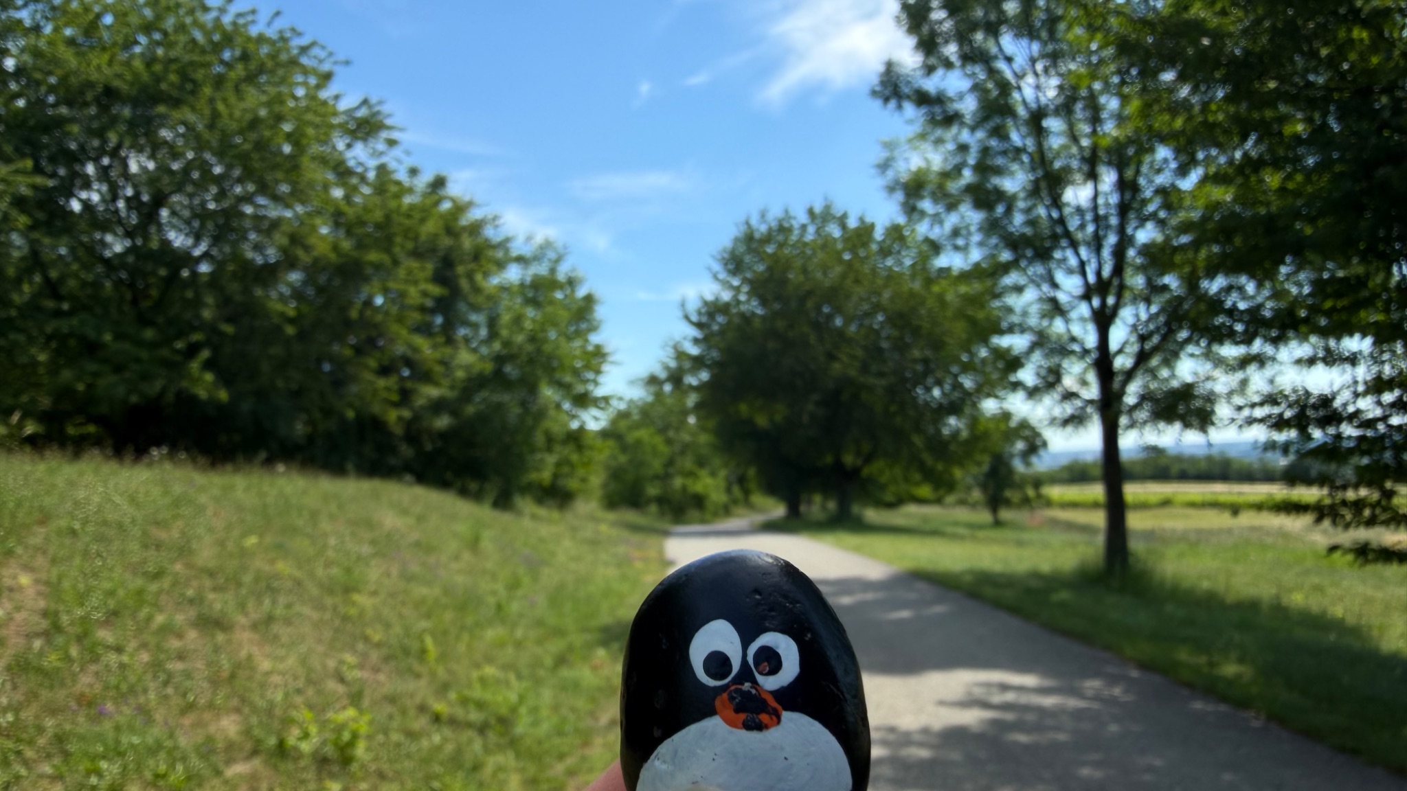 Hand-painted penguin stone #1105 hidden at Tree with Bench, Berg, Austria (photo 1 of 5)