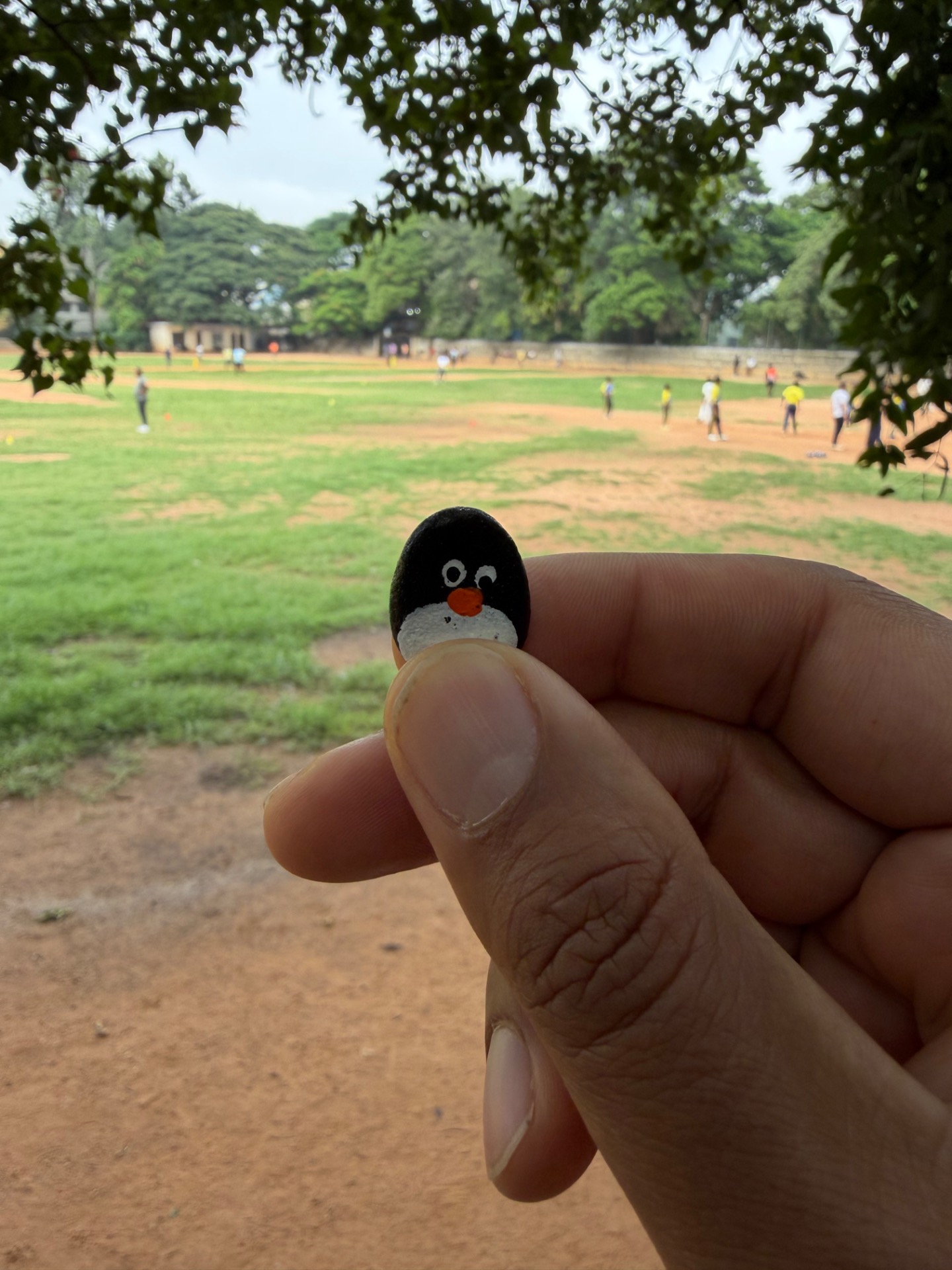 Hand-painted penguin stone #1107 hidden at VET College Ground, Bengaluru, India (photo 1 of 5)