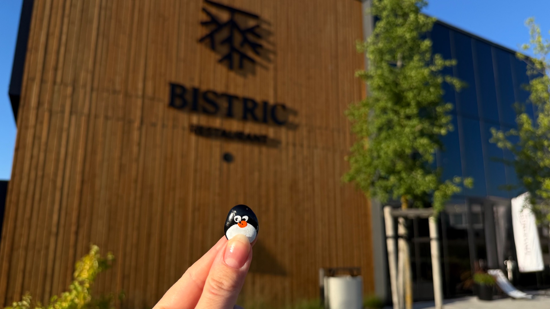 Hand-painted penguin stone #1138 hidden at BISTRIK Restaurant, Zahorska Bystrica, Slovakia (photo 1 of 5)
