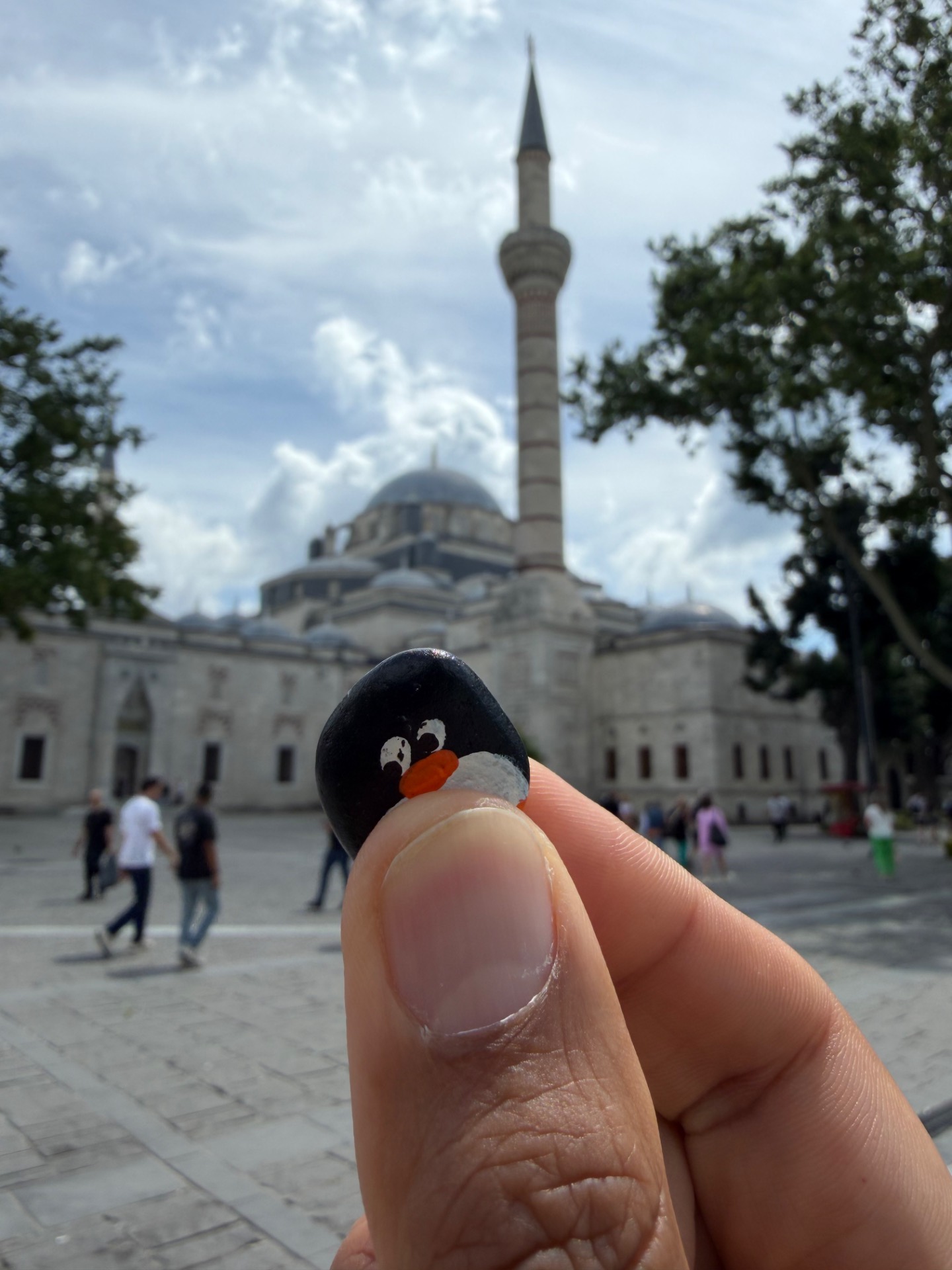 Hand-painted penguin stone #1143 hidden at Outside the Beyazit Mosque and Istanbul university, Istanbul, Turkiye (photo 1 of 5)