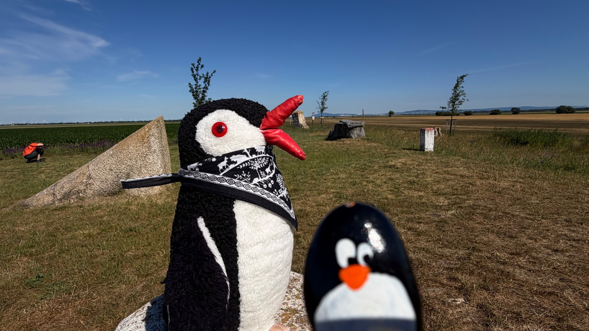 Hand-painted penguin stone #1146 hidden at Stone Statue, Rajka, Hungary (photo 1 of 5)