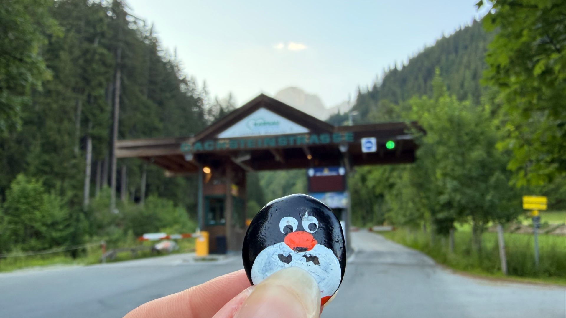 Hand-painted penguin stone #1152 hidden at Gloshof Sign, Ramsau am Dachstein, Austria (photo 1 of 5)