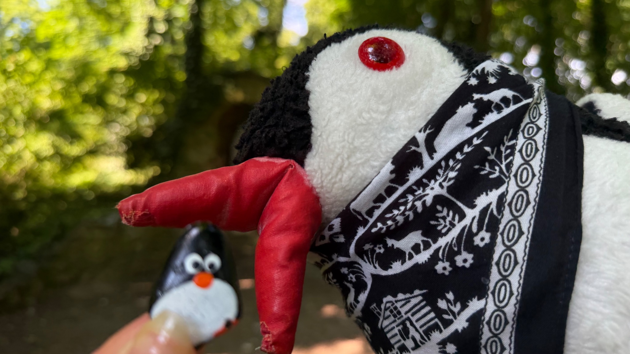 Hand-painted penguin stone #1153 hidden at Schlosspark Kittsee, Kittsee, Austria (photo 1 of 4)