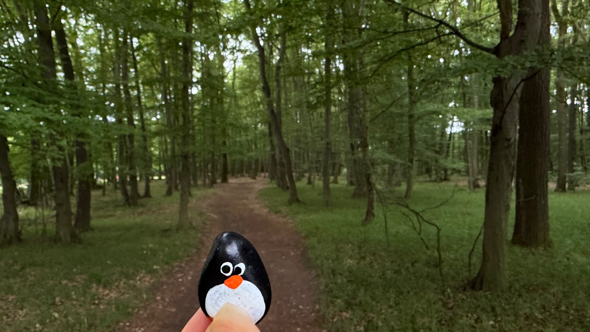Hand-painted penguin stone #1157 hidden at Kacin, Bratislava, Slovakia (photo 1 of 4)
