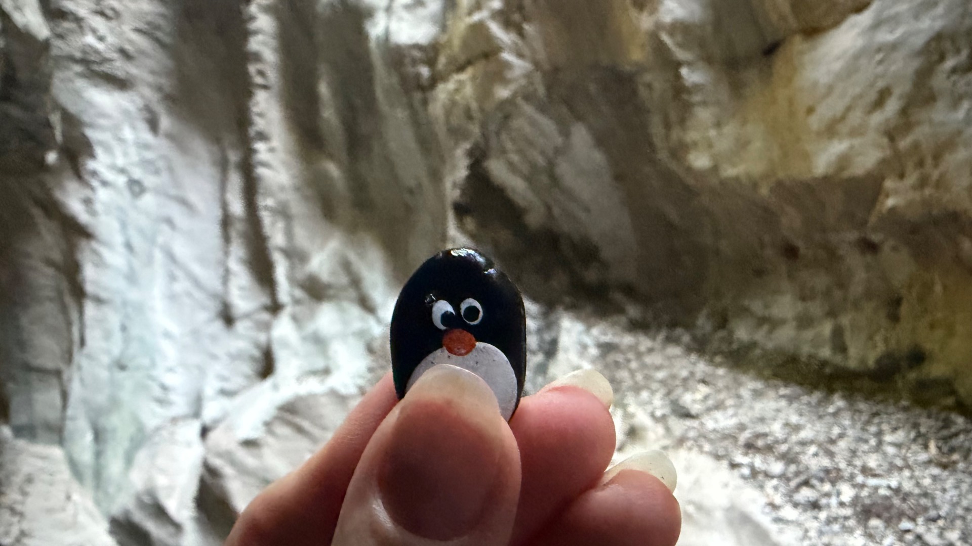 Hand-painted penguin stone #1166 hidden at Bridge, Liechtenstein Gorge, Austria (photo 1 of 5)