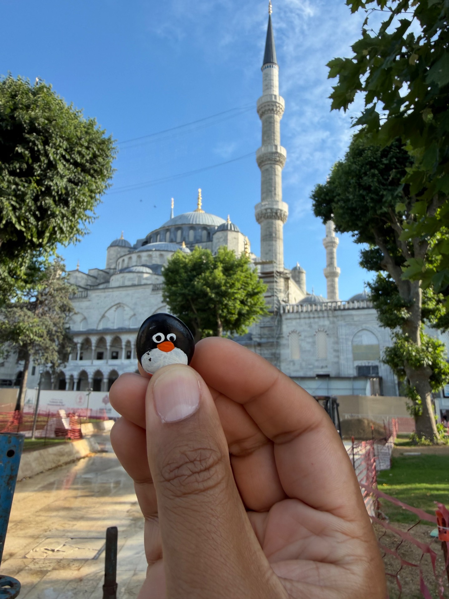 Hand-painted penguin stone #1174 hidden at The Blue Mosque Sultanahmet Camii, Istanbul, Turkiye (photo 1 of 5)