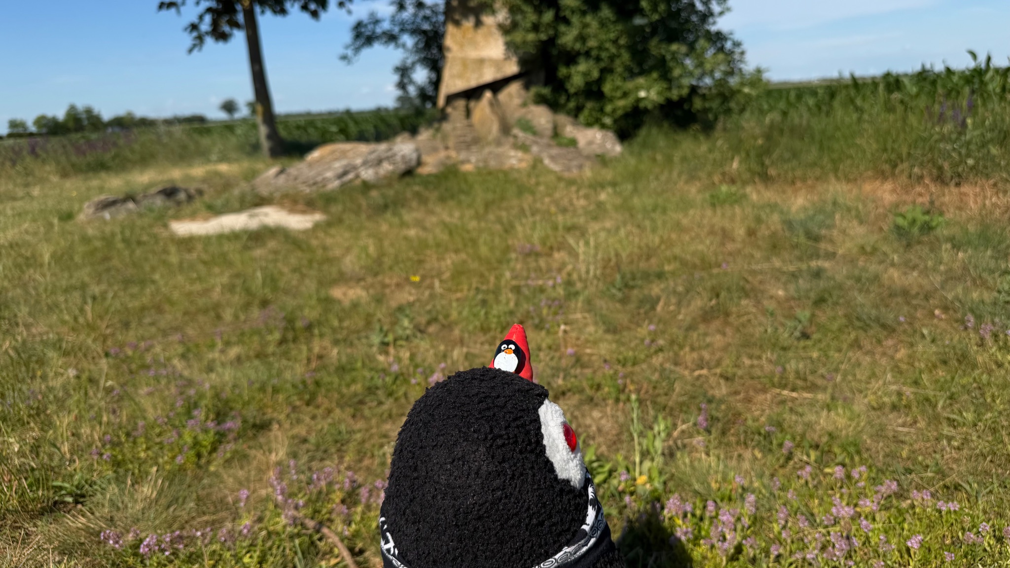 Hand-painted penguin stone #1180 hidden at Stone Statue, Tripoint, Austria (photo 1 of 5)