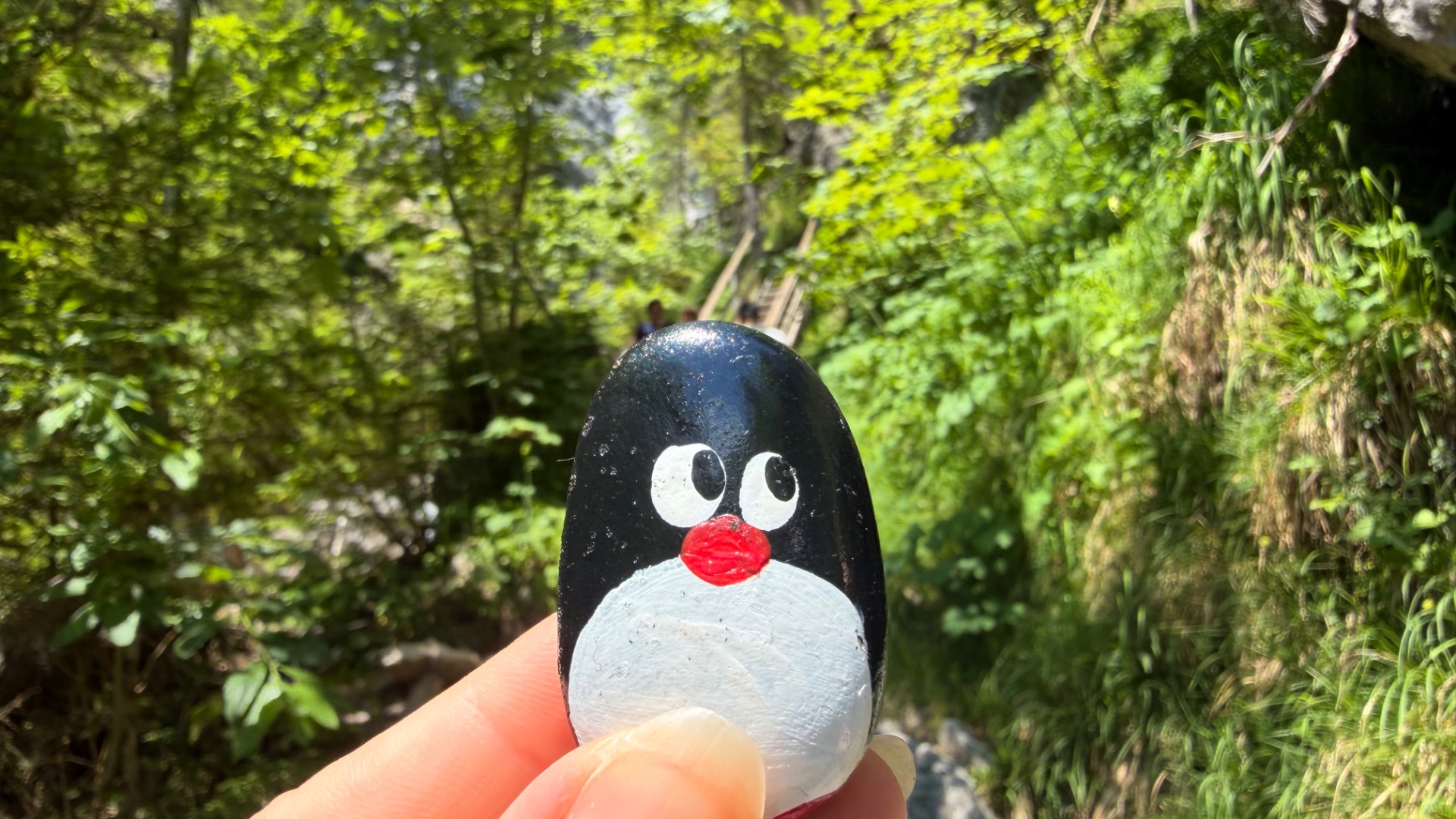 Hand-painted penguin stone #1199 hidden at Rock in Silberkarklamm, Silberkarklamm, Austria (photo 1 of 5)
