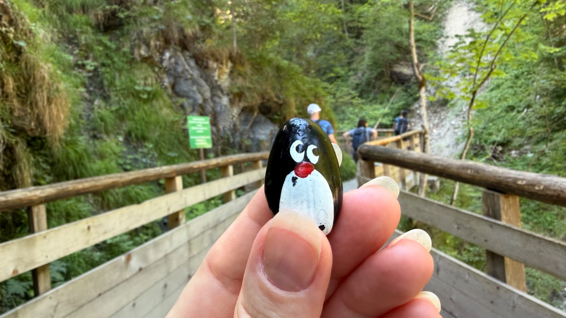 Hand-painted penguin stone #1202 hidden at Rocks at Entrance, Sankt Johann im Pongau, Austria (photo 1 of 5)