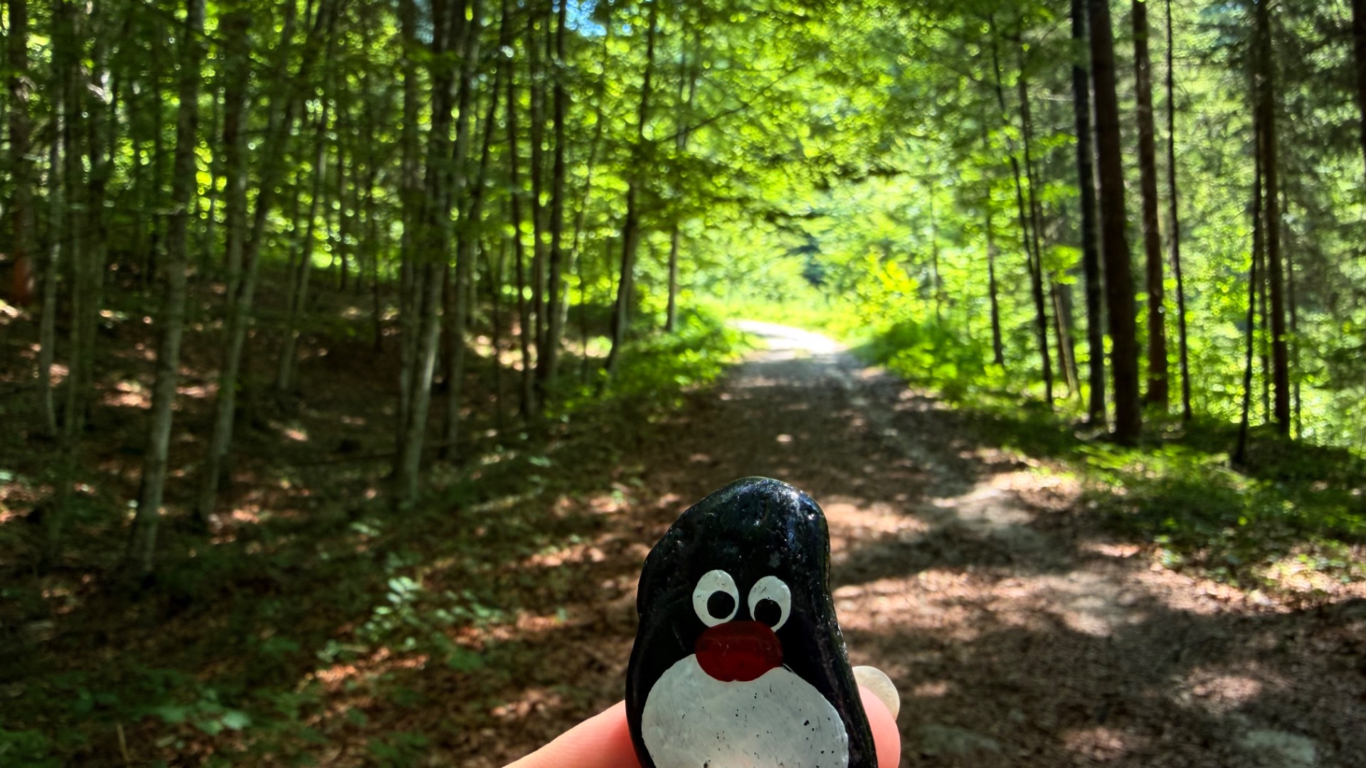 Hand-painted penguin stone #1203 hidden at Cut down tree trunk, St. Wolfgang im Salzkammergut, Austria (photo 1 of 5)