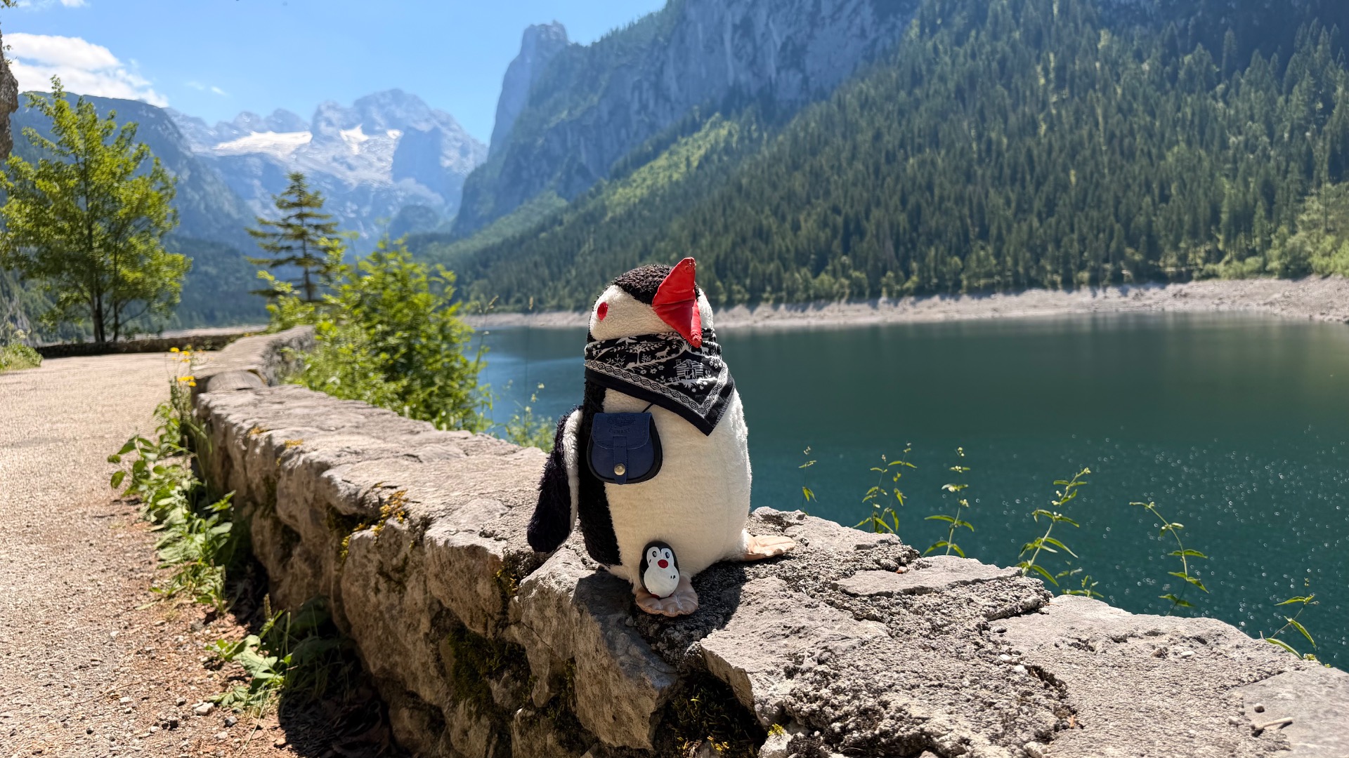 Hand-painted penguin stone #1205 hidden at Behind a Bench, Vorderer Gosausee, Austria (photo 1 of 5)