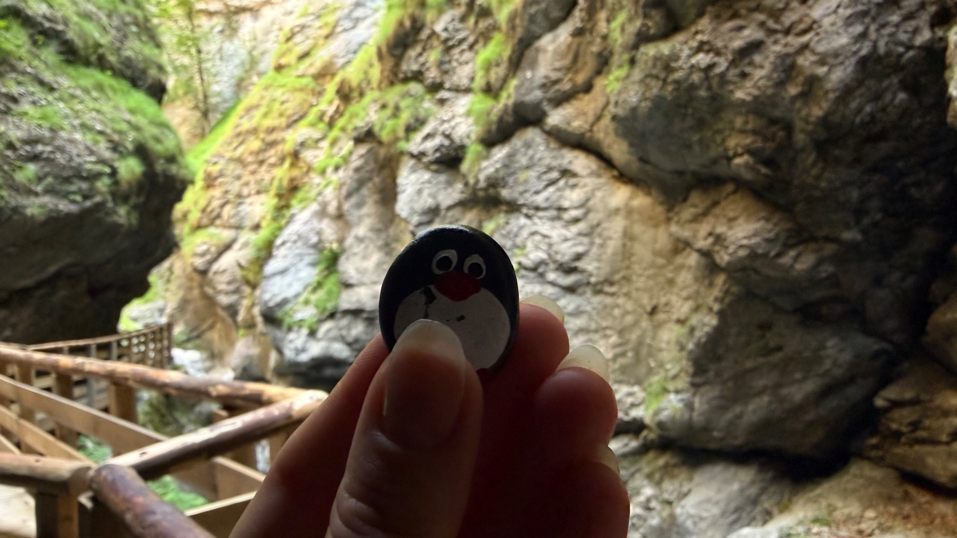 Hand-painted penguin stone #1217 hidden at Waterfall, Liechtenstein Gorge, Austria (photo 1 of 5)