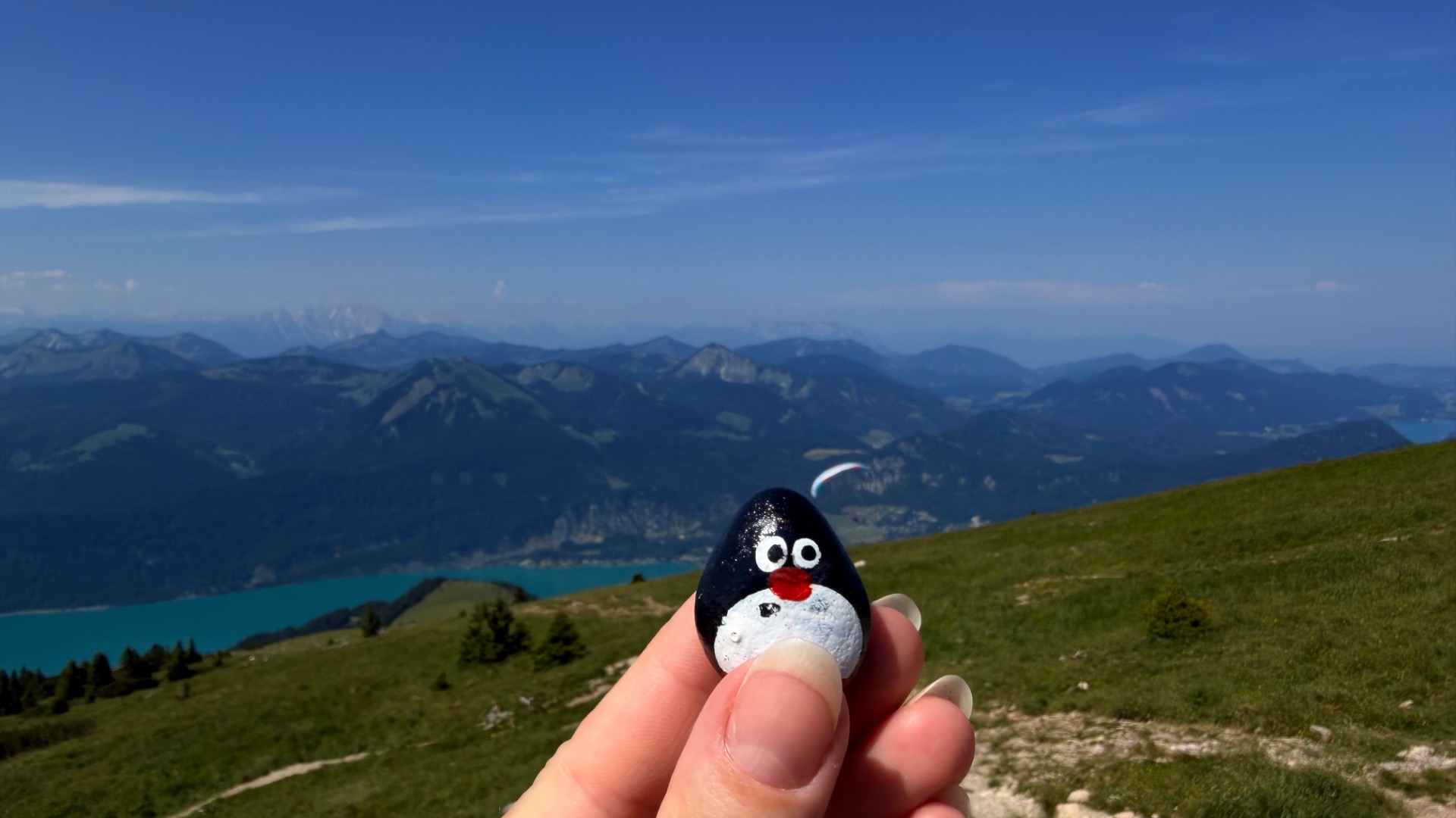 Hand-painted penguin stone #1222 hidden at Observation Deck, Schafberg, Austria (photo 1 of 5)