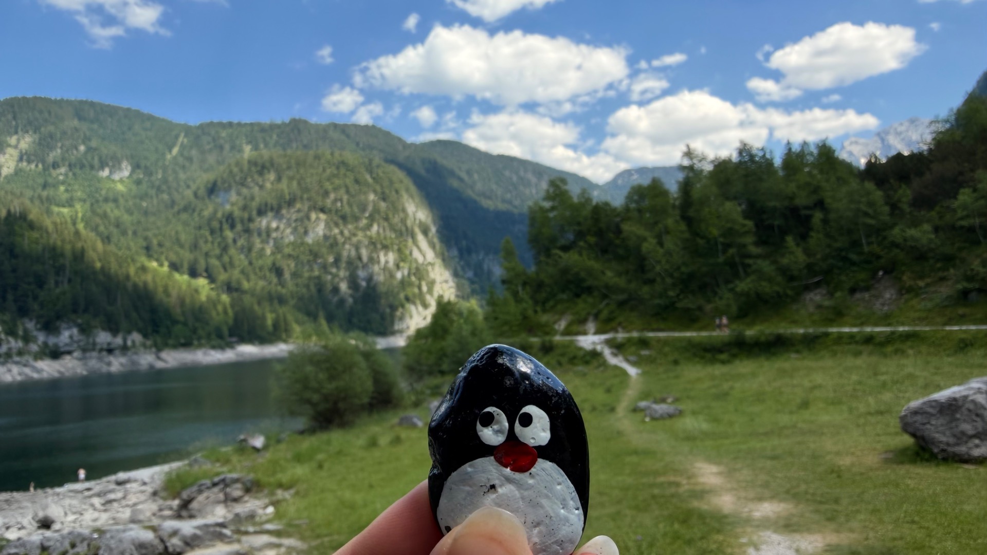 Hand-painted penguin stone #1230 hidden at Tree Trunk, Vorderer Gosause, Austria (photo 1 of 5)