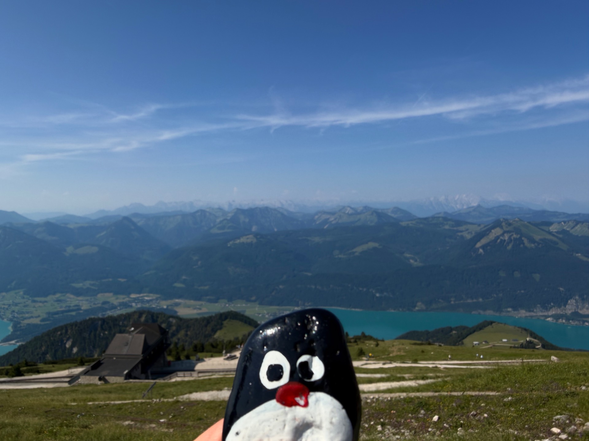 Hand-painted penguin stone #1237 hidden at Hotel Schafbergspitze, Sankt Gilgen, Austria (photo 1 of 5)