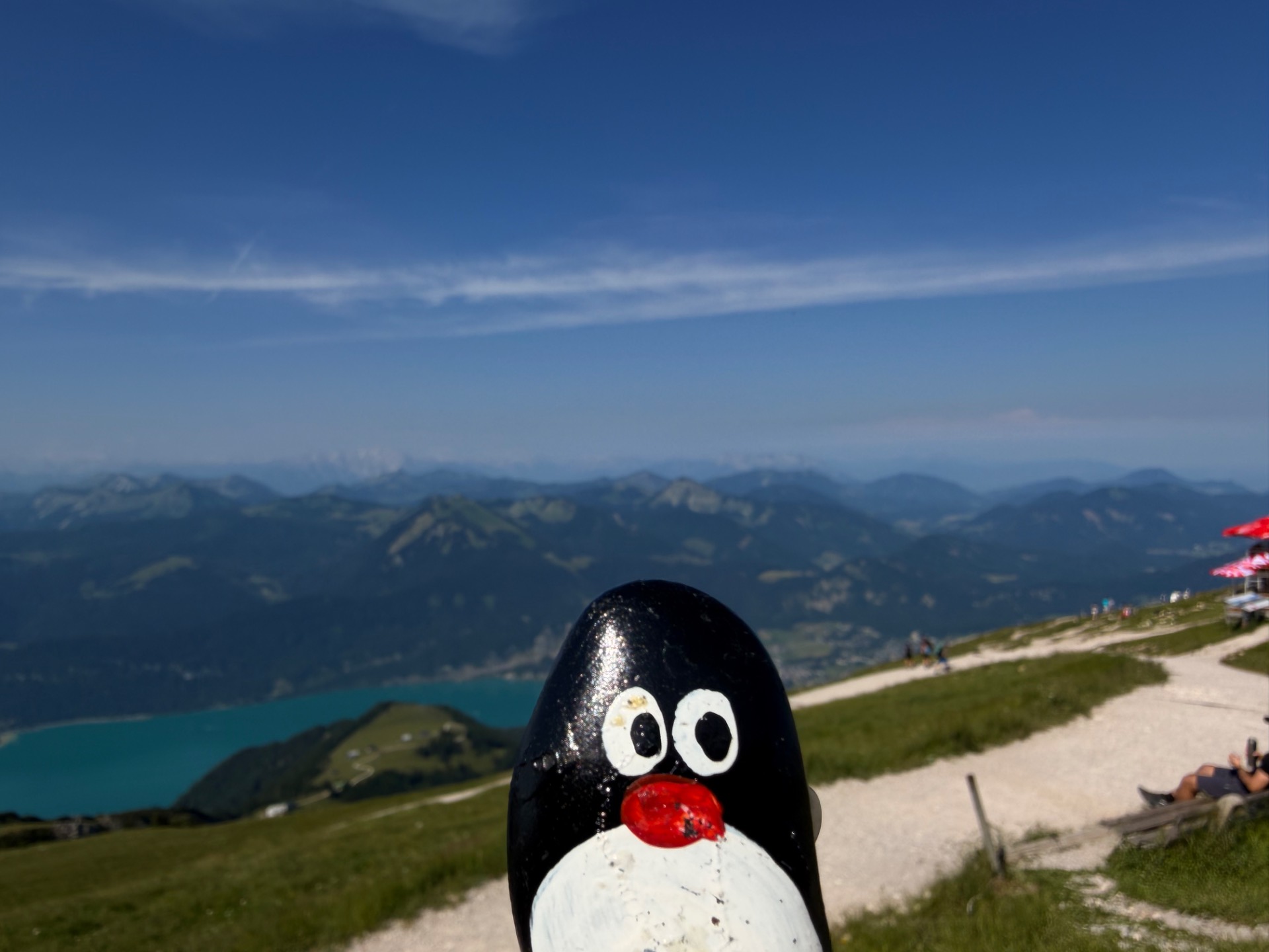 Hand-painted penguin stone #1257 hidden at Rocks at Entrance, Schafberg, Austria (photo 1 of 5)