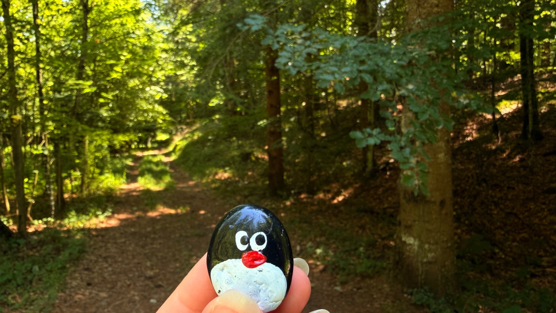 Hand-painted penguin stone #1259 hidden at Sign 7, Reid, Austria (photo 1 of 5)