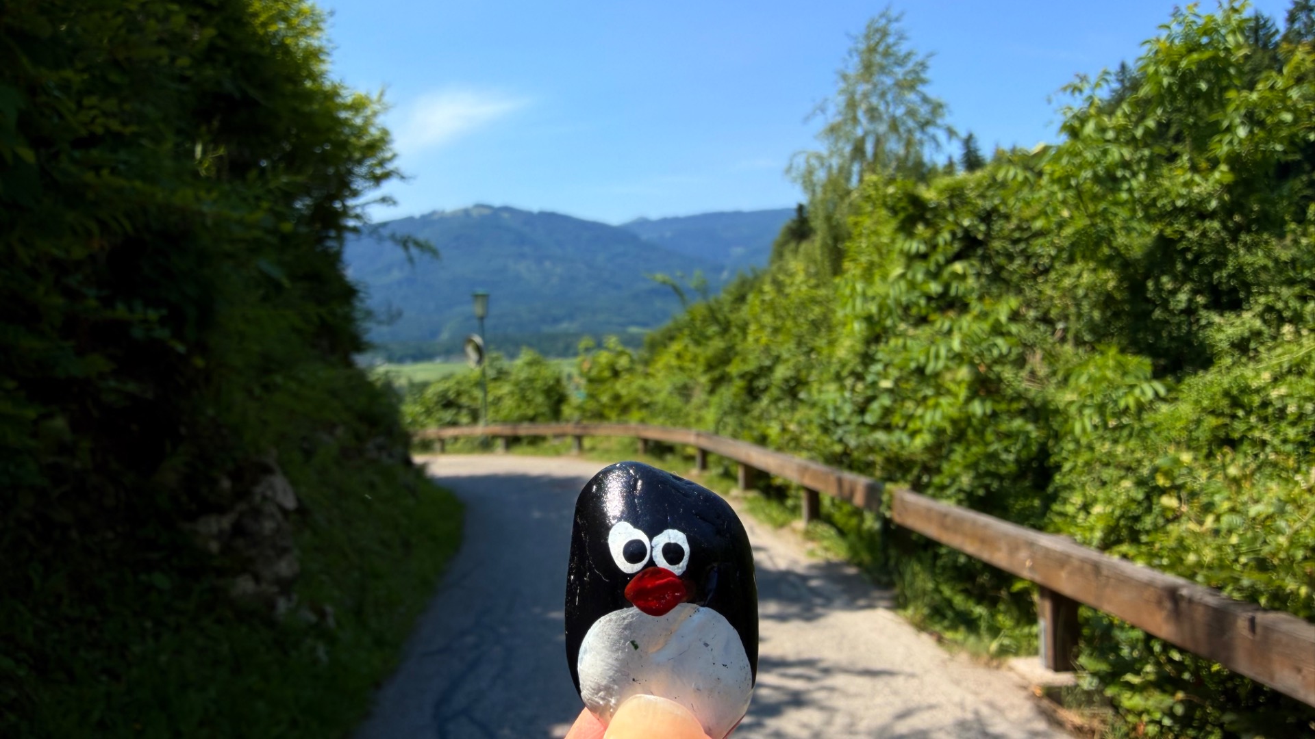 Hand-painted penguin stone #1260 hidden at Rocks next to water route,, St. Wolfgang im Salzkammergut, Austria (photo 1 of 5)