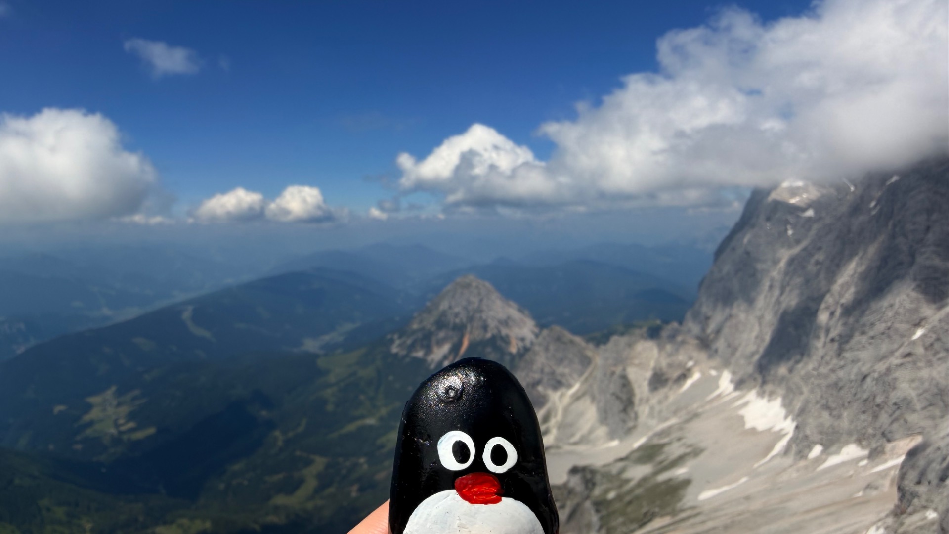 Hand-painted penguin stone #1262 hidden at Dachstein, Obertraun, Austria (photo 1 of 5)