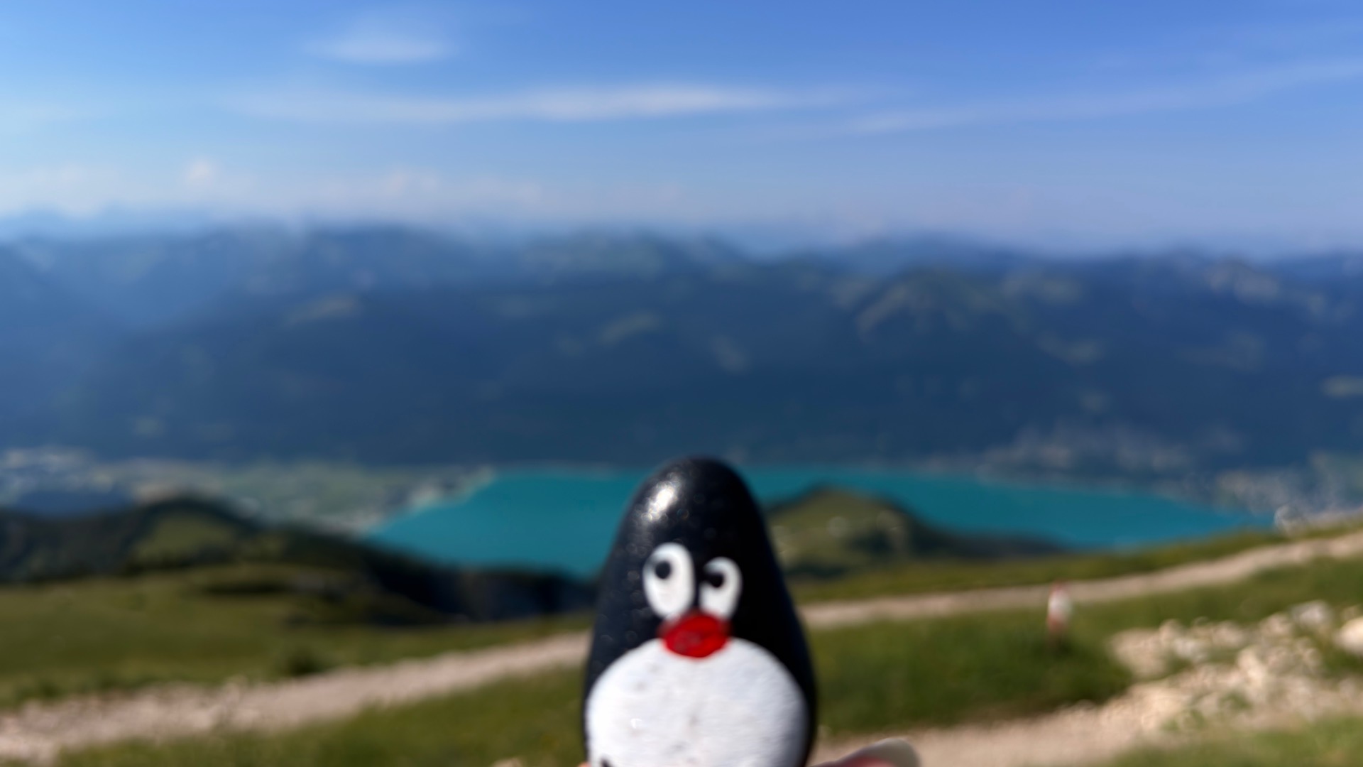 Hand-painted penguin stone #1270 hidden at Rocks below Himmelspfortenhutte, Schafberg, Austria (photo 1 of 5)