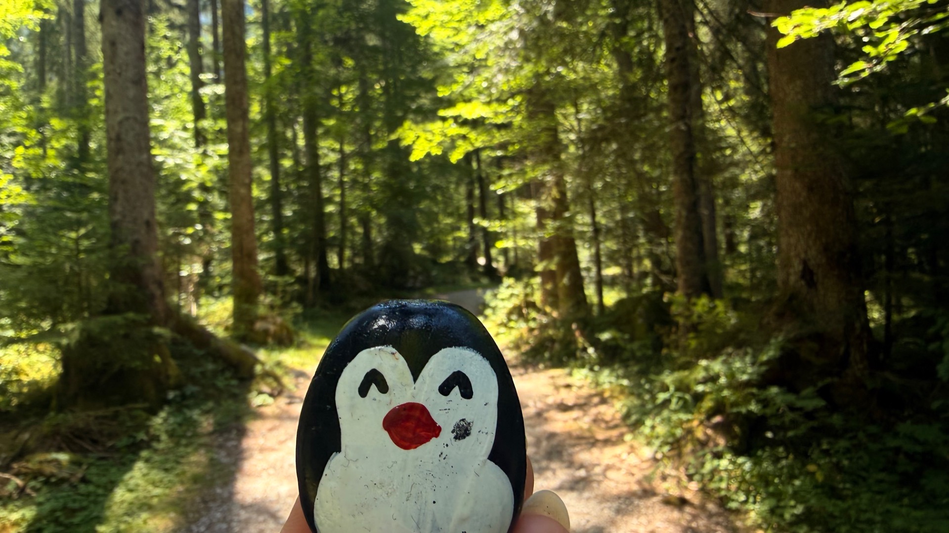 Hand-painted penguin stone #1272 hidden at Tree Trunk, Vorderer Gosausee, Austria (photo 1 of 5)