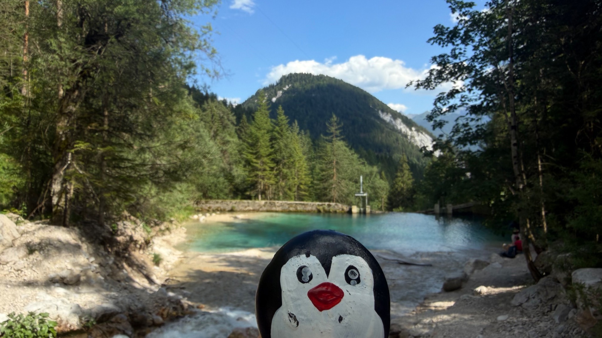 Hand-painted penguin stone #1276 hidden at Small Lake, Ramsau am Dachstein, Austria (photo 1 of 5)