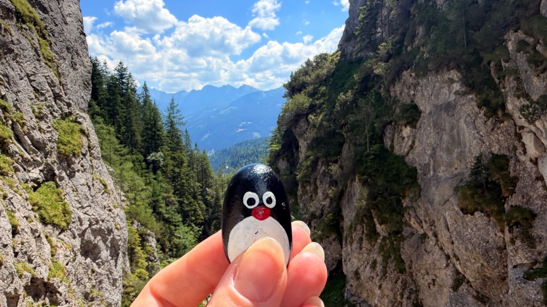 Hand-painted penguin stone #1286 hidden at Viewpoint in Silberkarklamm, Silberkarklamm, Austria (photo 1 of 5)