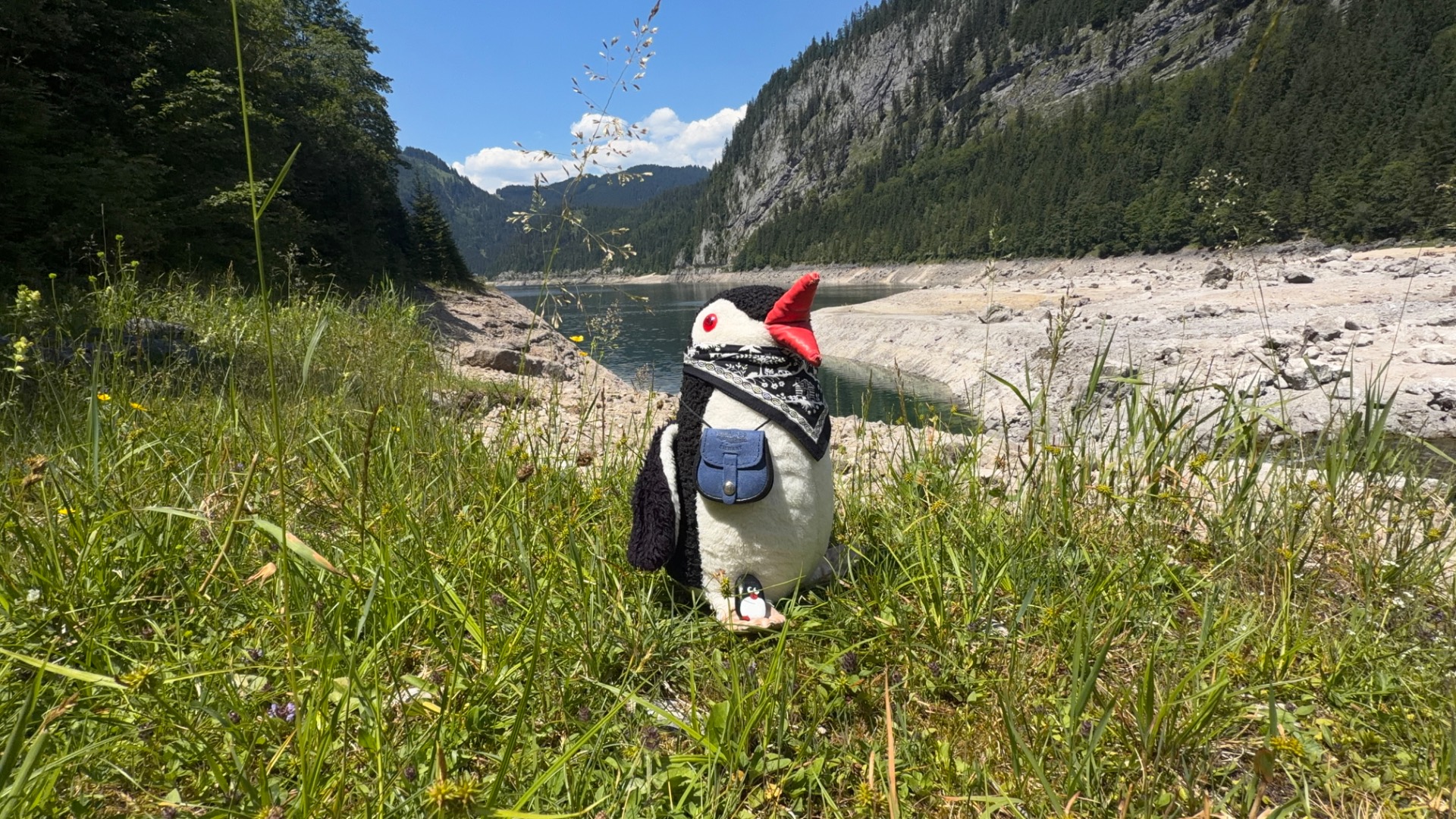 Hand-painted penguin stone #1293 hidden at Stone, Vorderer Gosausee, Austria (photo 1 of 5)