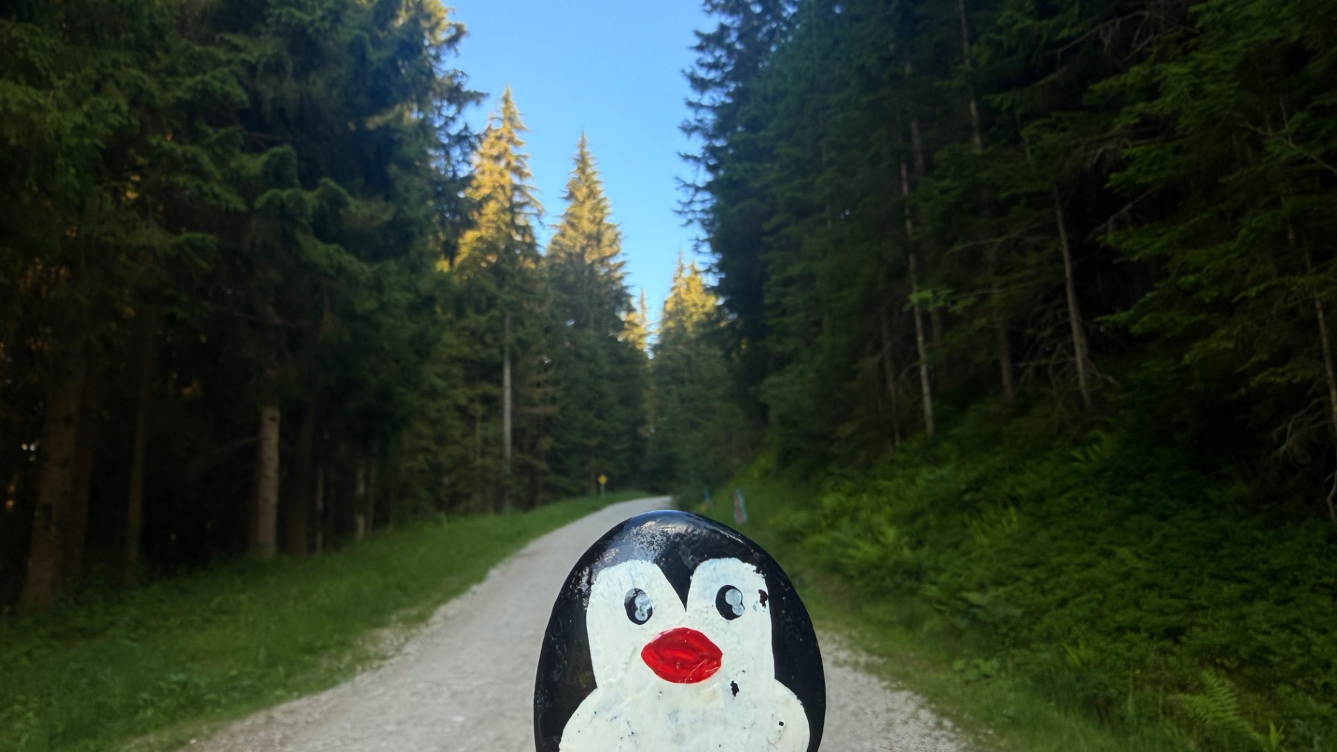 Hand-painted penguin stone #1298 hidden at Marchenweg, Ramsau am Dachstein, Austria (photo 1 of 5)