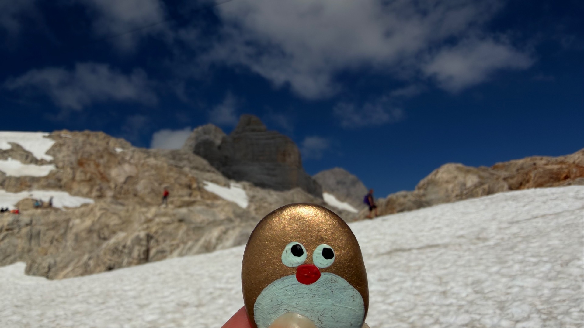 Hand-painted penguin stone #1500 hidden at Glacier Lake, Obertraun, Austria (photo 1 of 5)