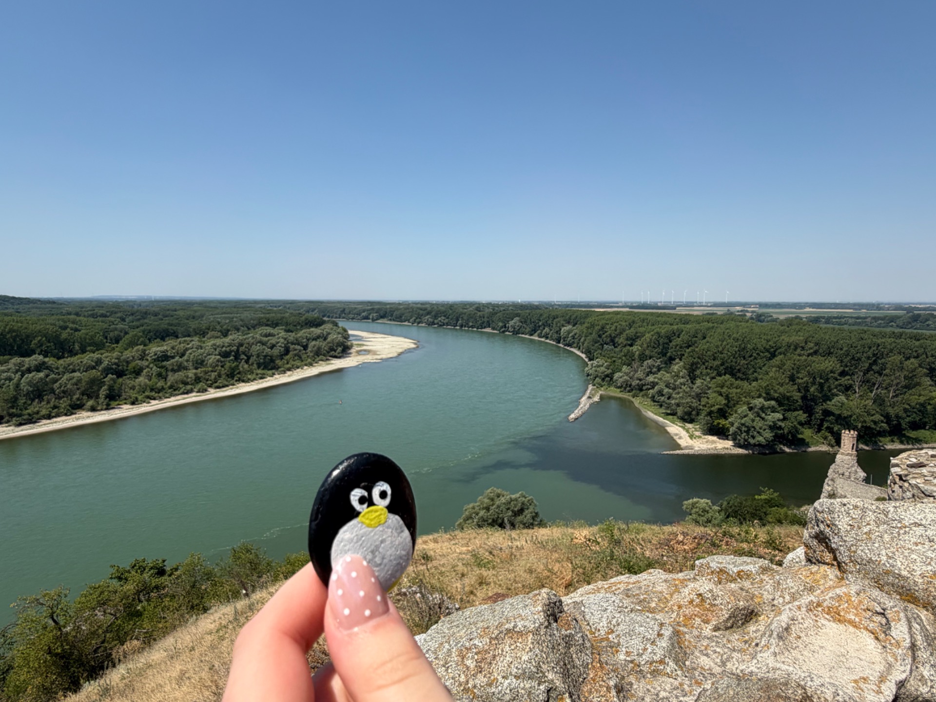 Hand-painted penguin stone #613 hidden at Devin castle, Bratislava, Slovakia (photo 1 of 4)