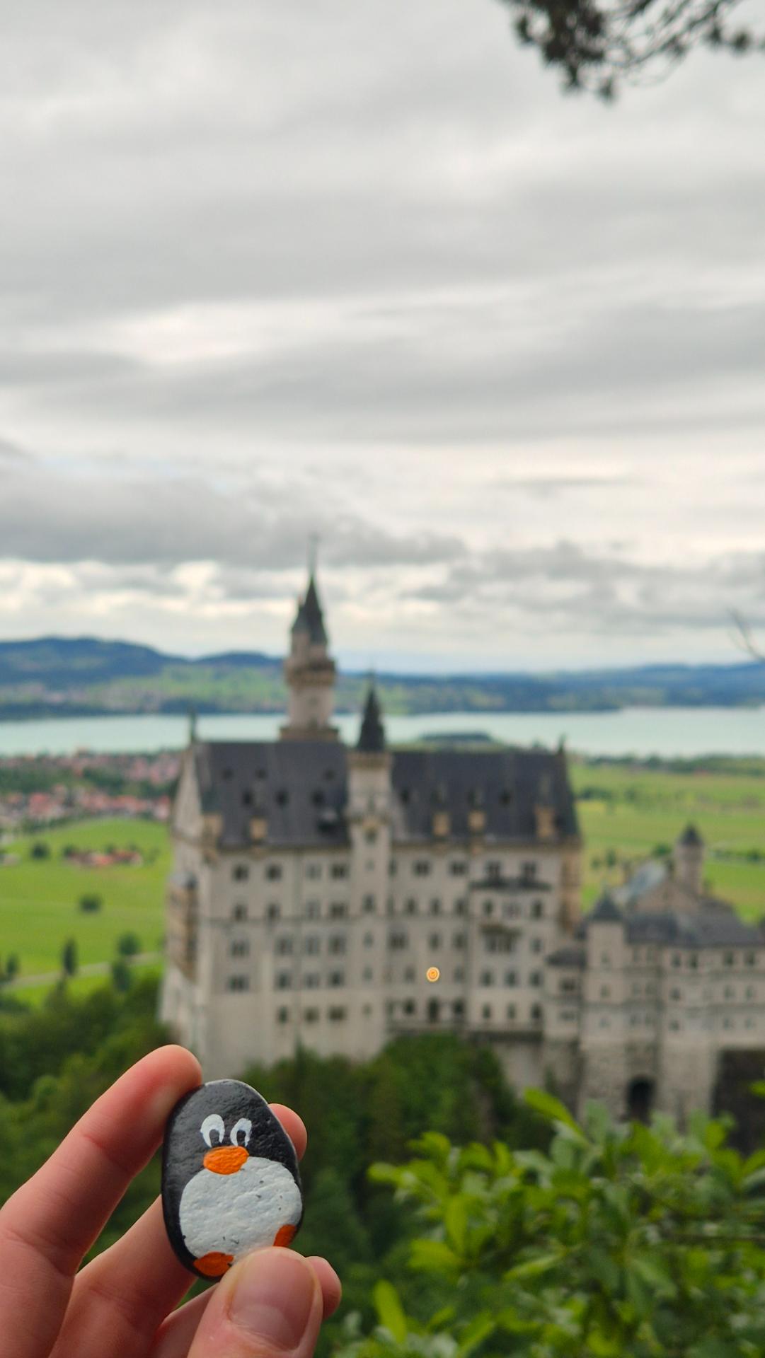Hand-painted penguin stone #837 hidden at Neuschwanstein Castle (above the Marienbrucke), Schwangau, Germany (photo 1 of 5)