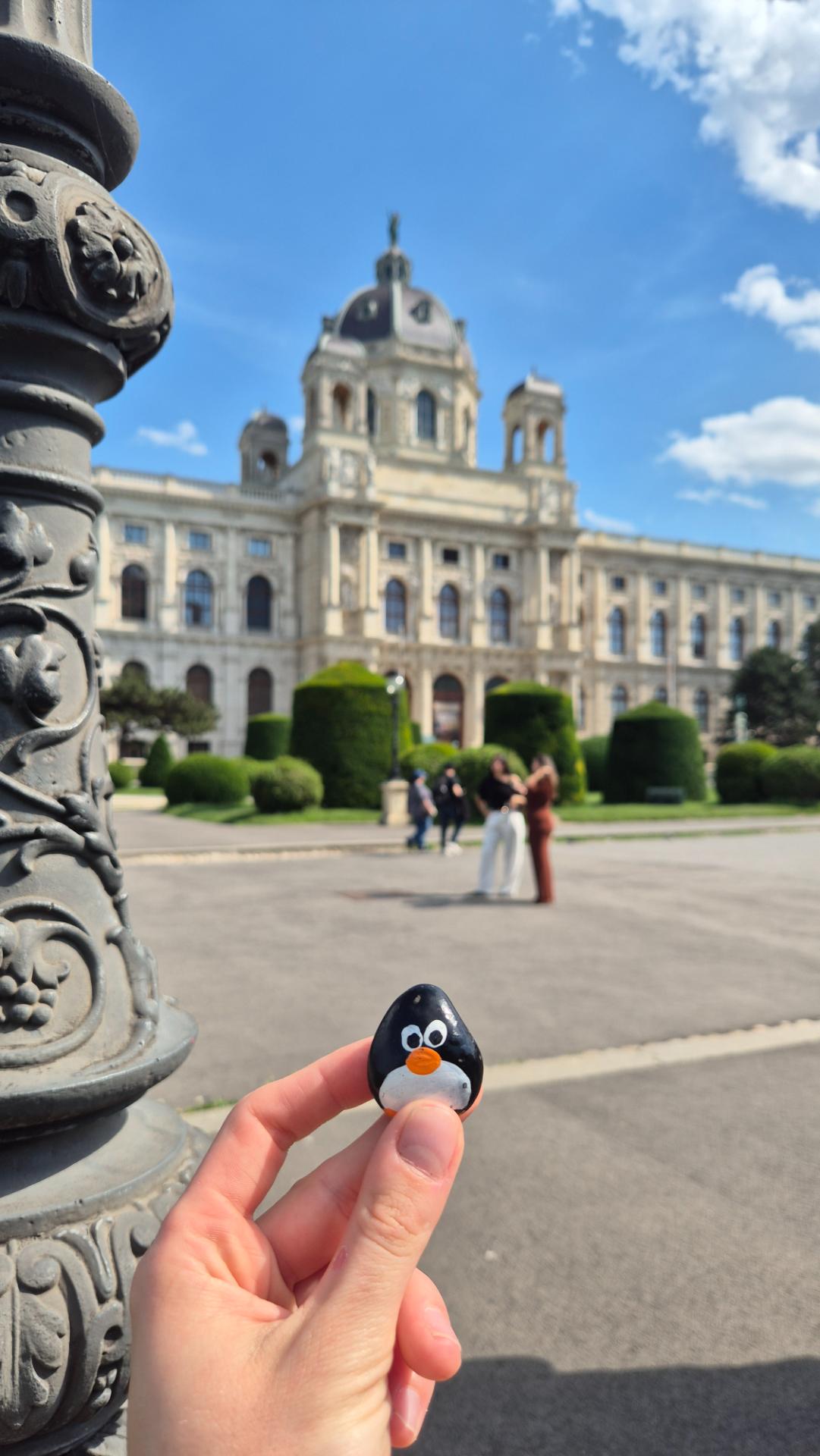 Hand-painted penguin stone #848 hidden at Museumquarter, Vienna, Austria (photo 1 of 4)