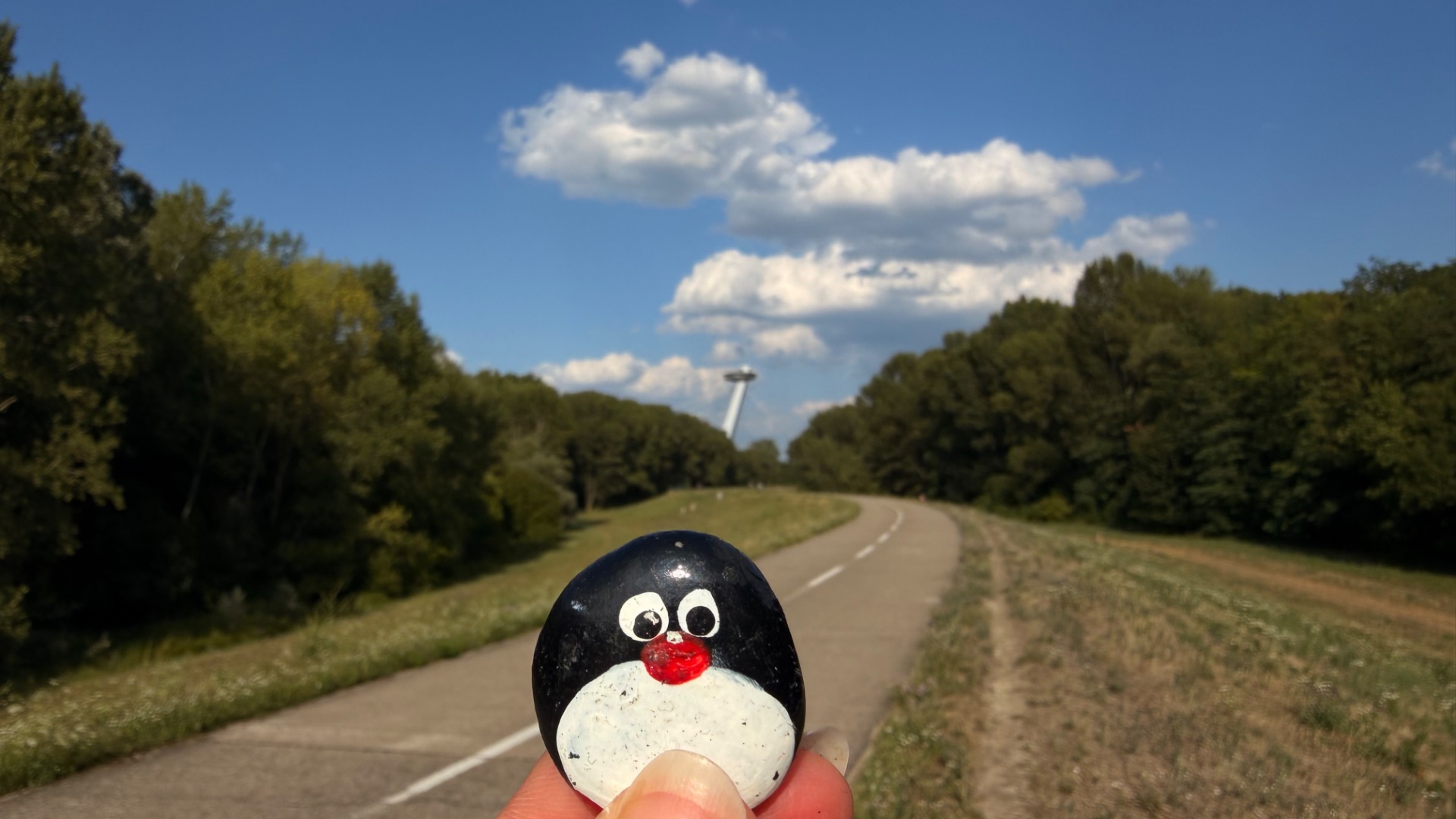 Hand-painted penguin stone #1201 hidden at UFO Bridge, Bratislava, Slovakia (photo 1 of 5)