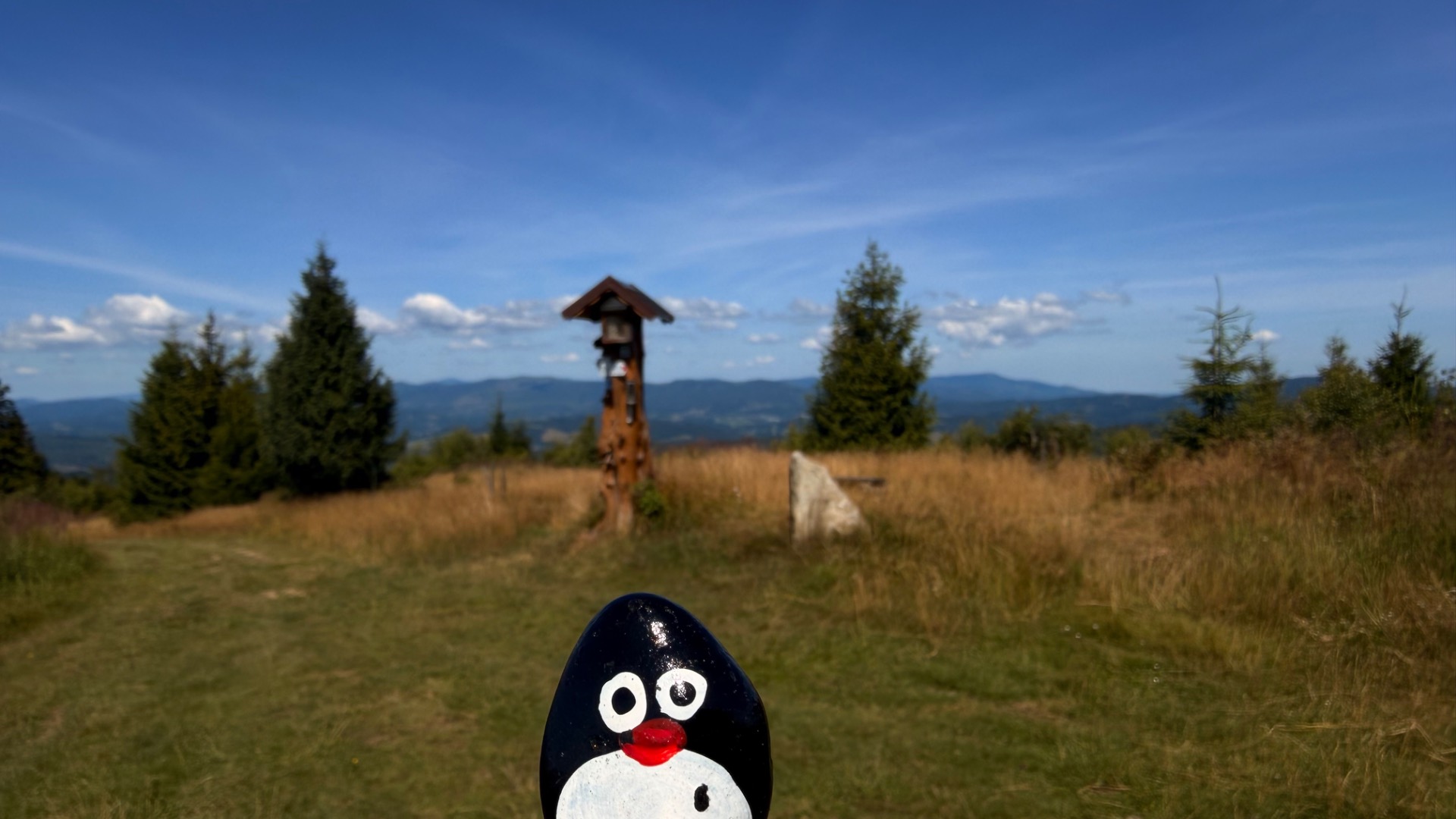 Hand-painted penguin stone #1219 hidden at Vrch Javorske, Oscadnica, Slovakia (photo 1 of 5)