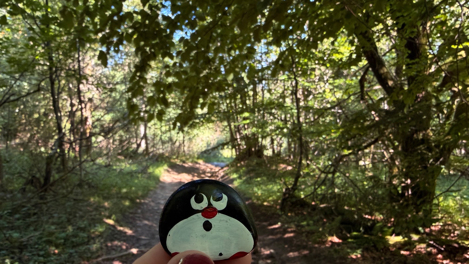 Hand-painted penguin stone #1244 hidden at Tree Trunk, Oscadnica, Slovakia (photo 1 of 5)