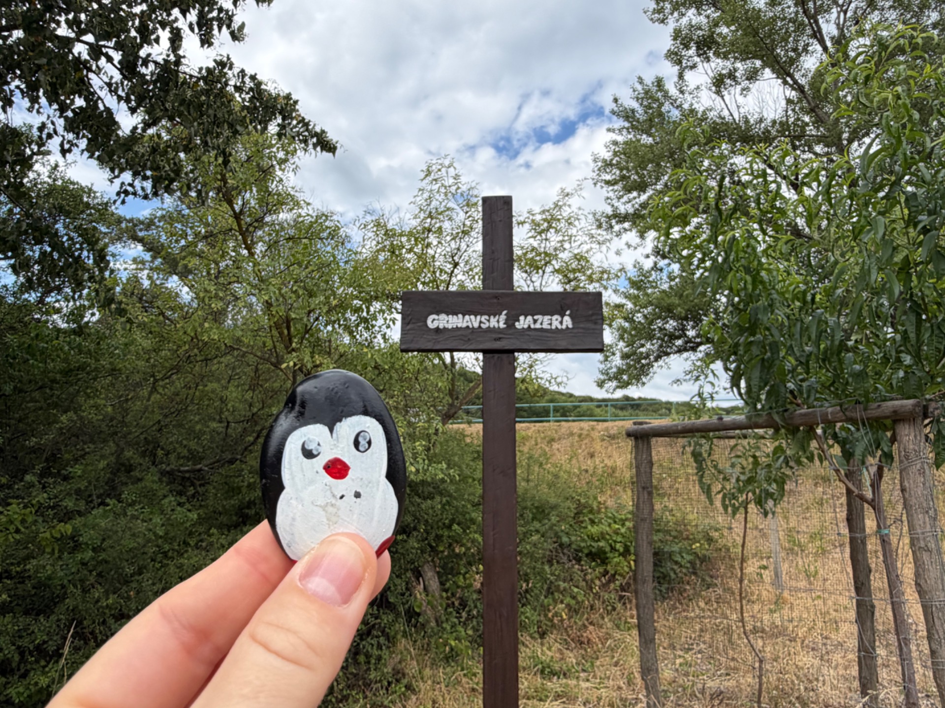 Hand-painted penguin stone #1246 hidden at Cross Grinavske jazera, Pezinok, Slovakia (photo 1 of 5)