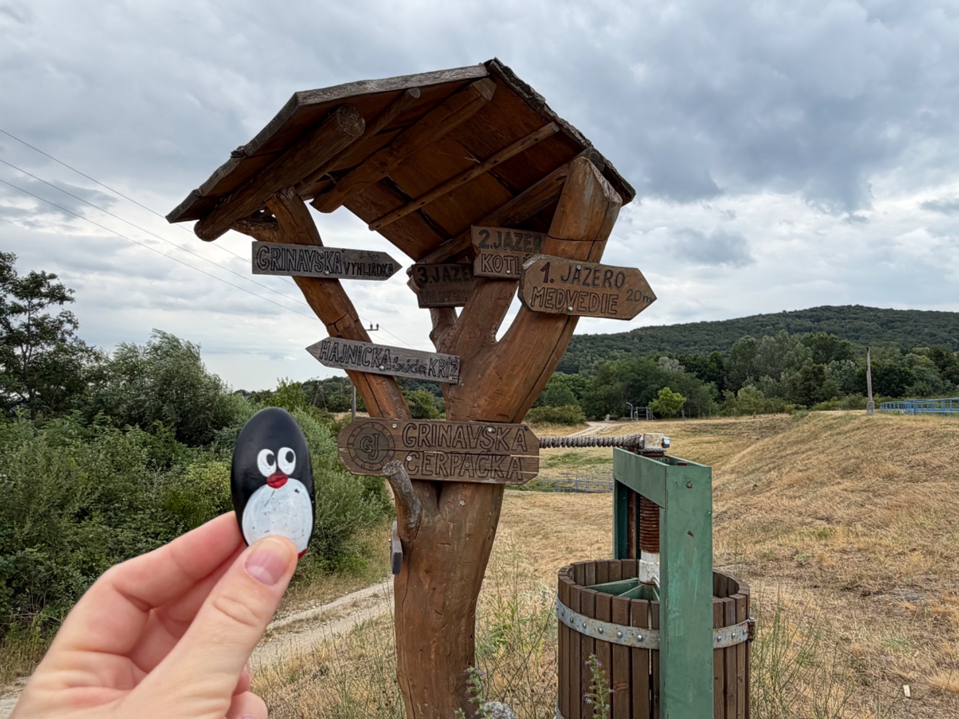 Hand-painted penguin stone #1248 hidden at Grinavska Cerpacka, Pezinok, Slovakia (photo 1 of 5)