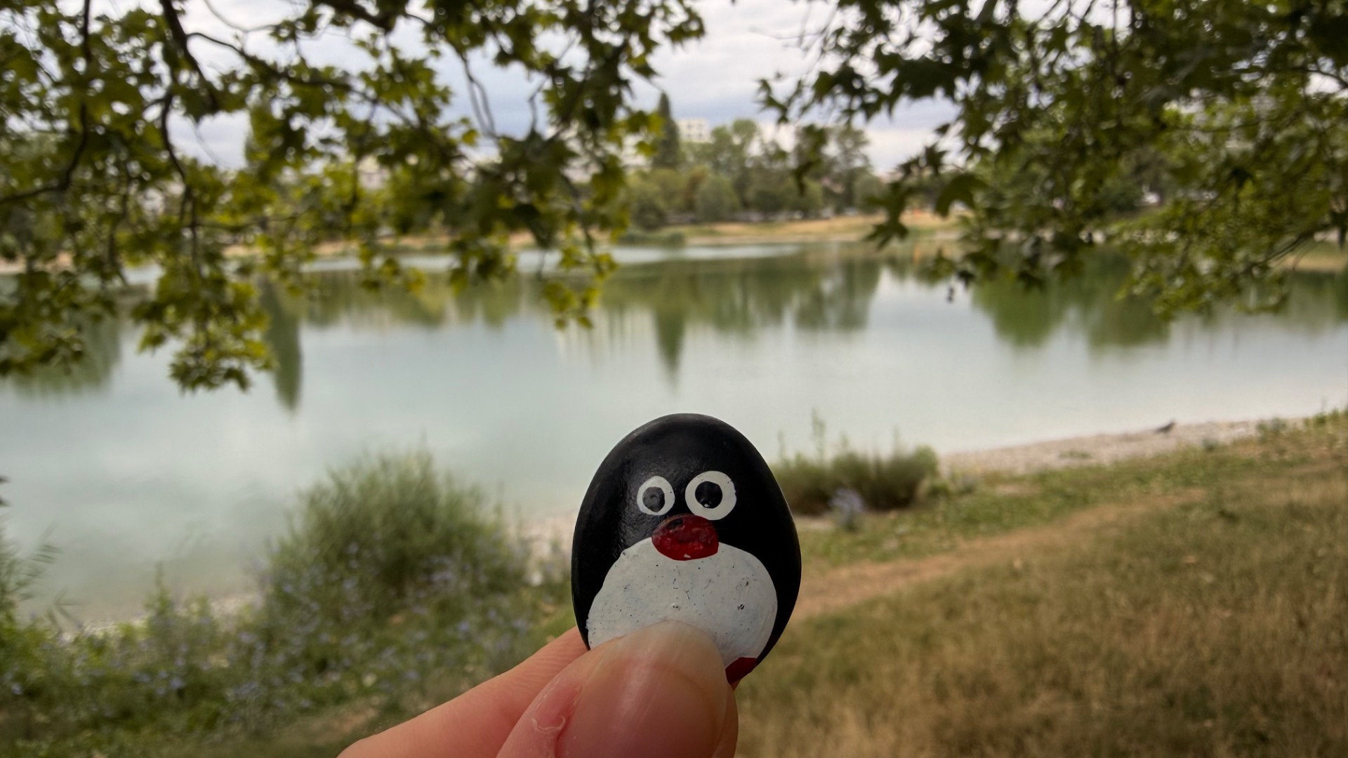 Hand-painted penguin stone #1279 hidden at Tree at Strkovec, Bratislava, Slovakia (photo 1 of 4)